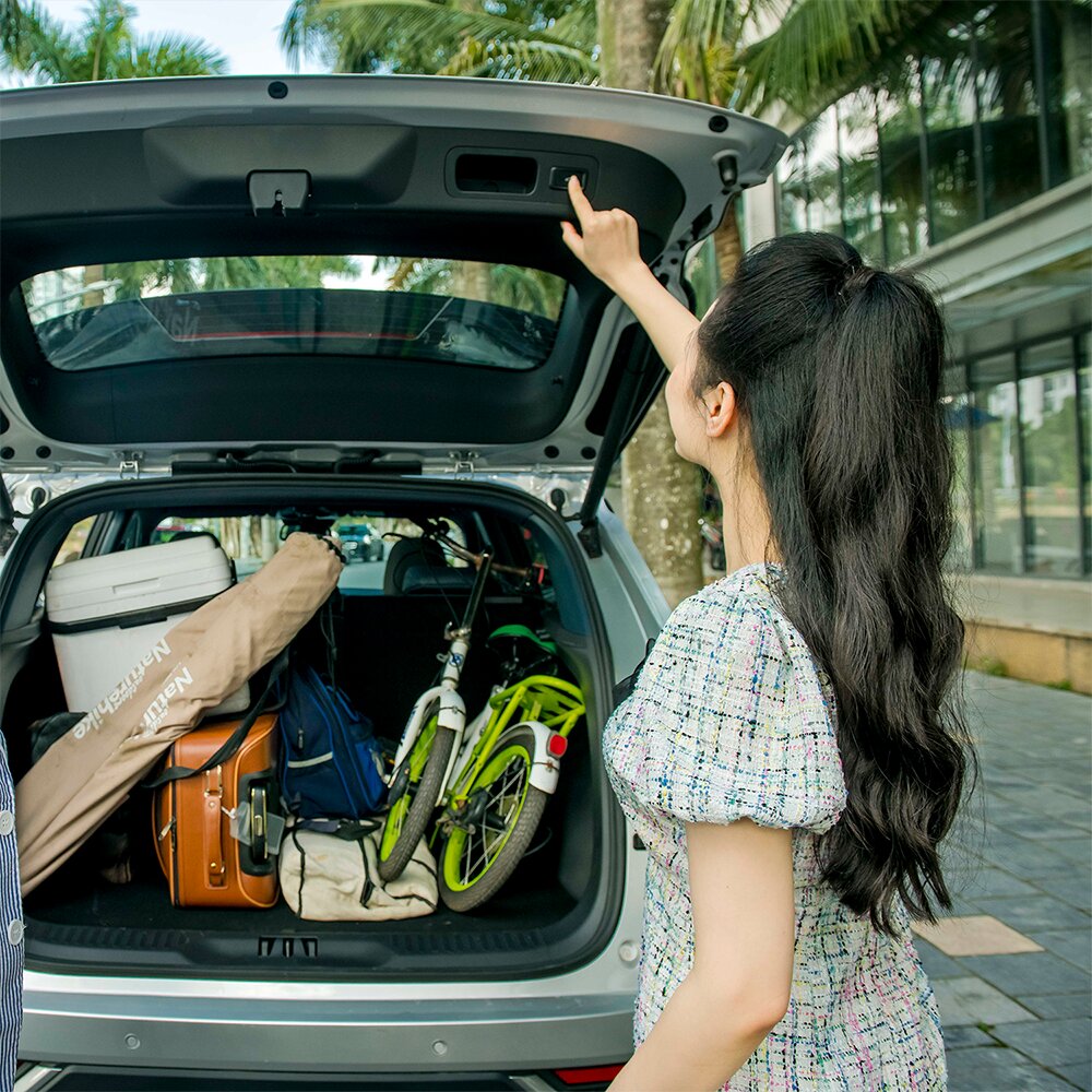 CỐP ĐIỆN + ĐÁ CỐP CHO TERRIOTRY TREND, TERRITORY TITANIUM