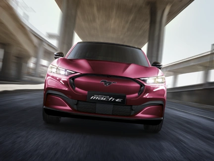 Phấn khích tột độ